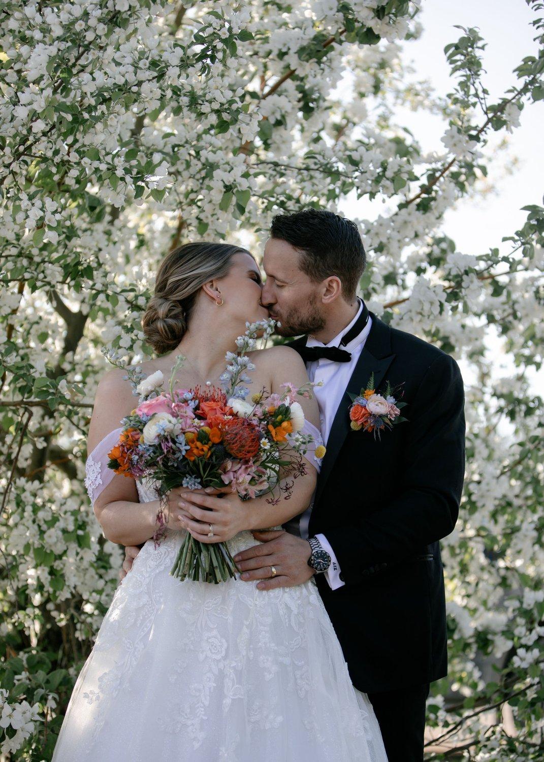 carousel-hero-element image-2